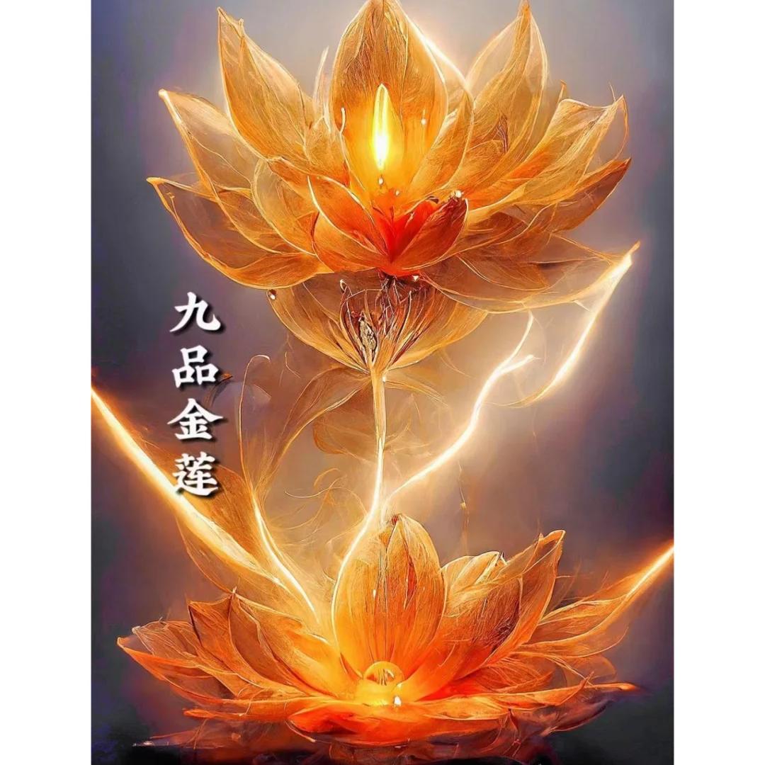 🌻苏老师