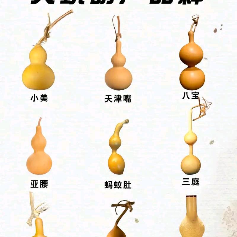 随缘