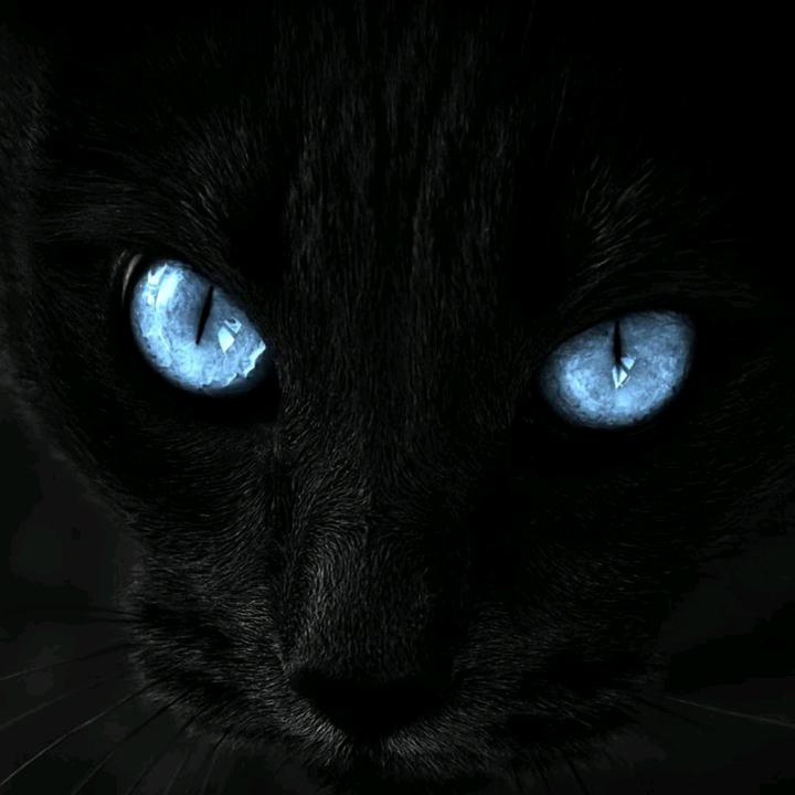 邯郸晟誉陈小头