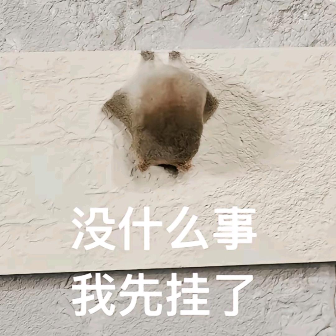 AAA三蹦子批发商宋总