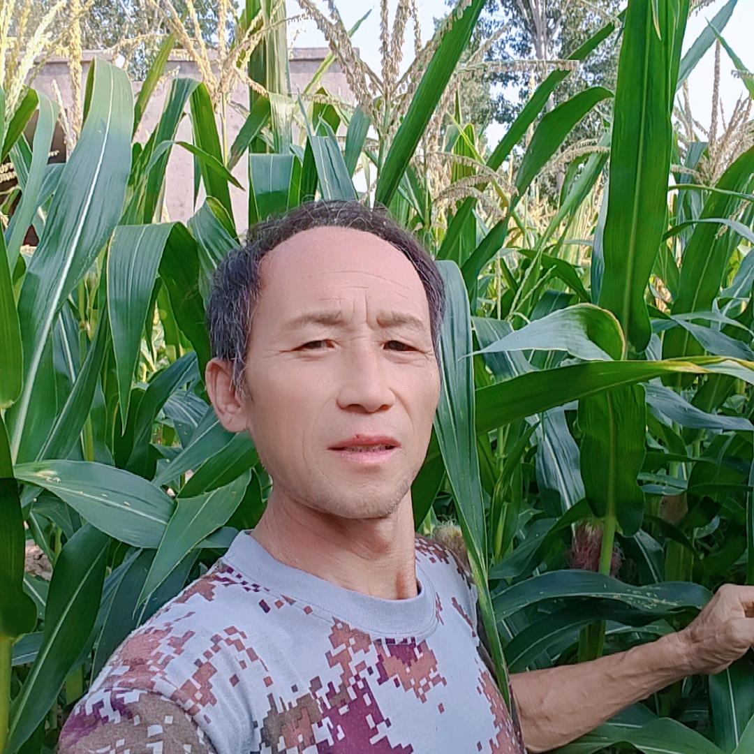农民老赵