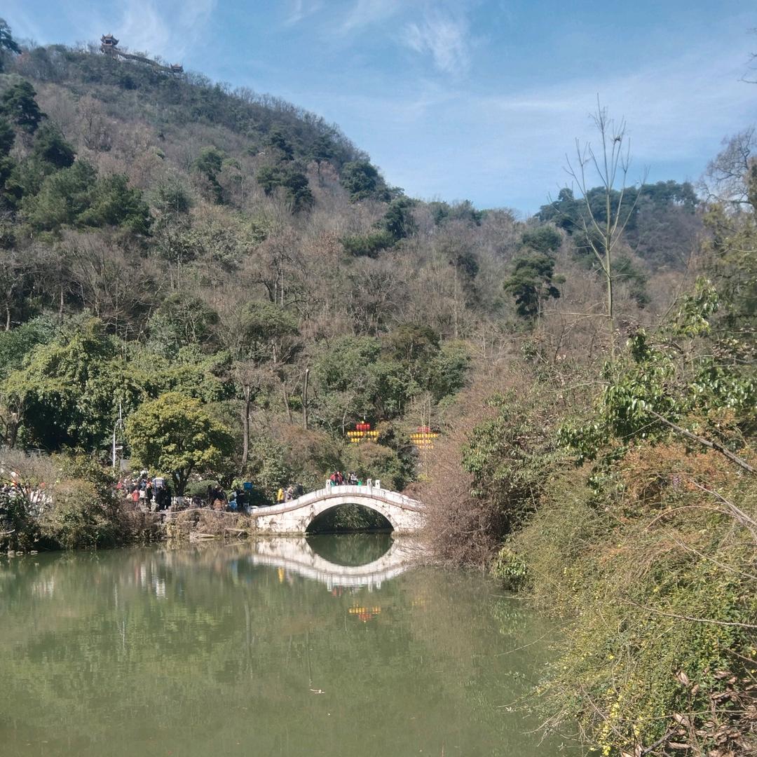 开心果