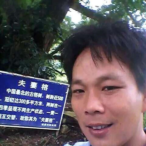 绿宝烟酒水