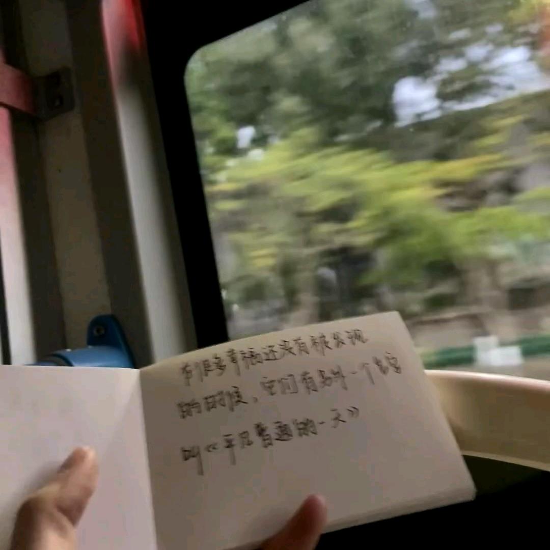 国际本科 刘老师