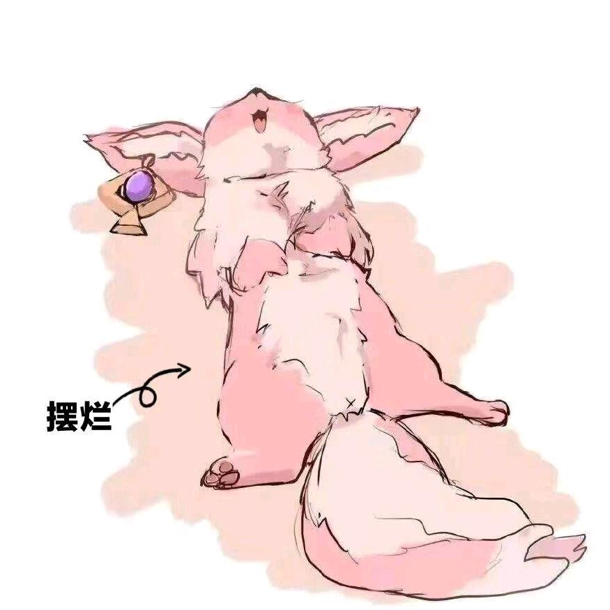 [小艾同学]