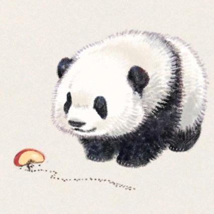 大婷头像