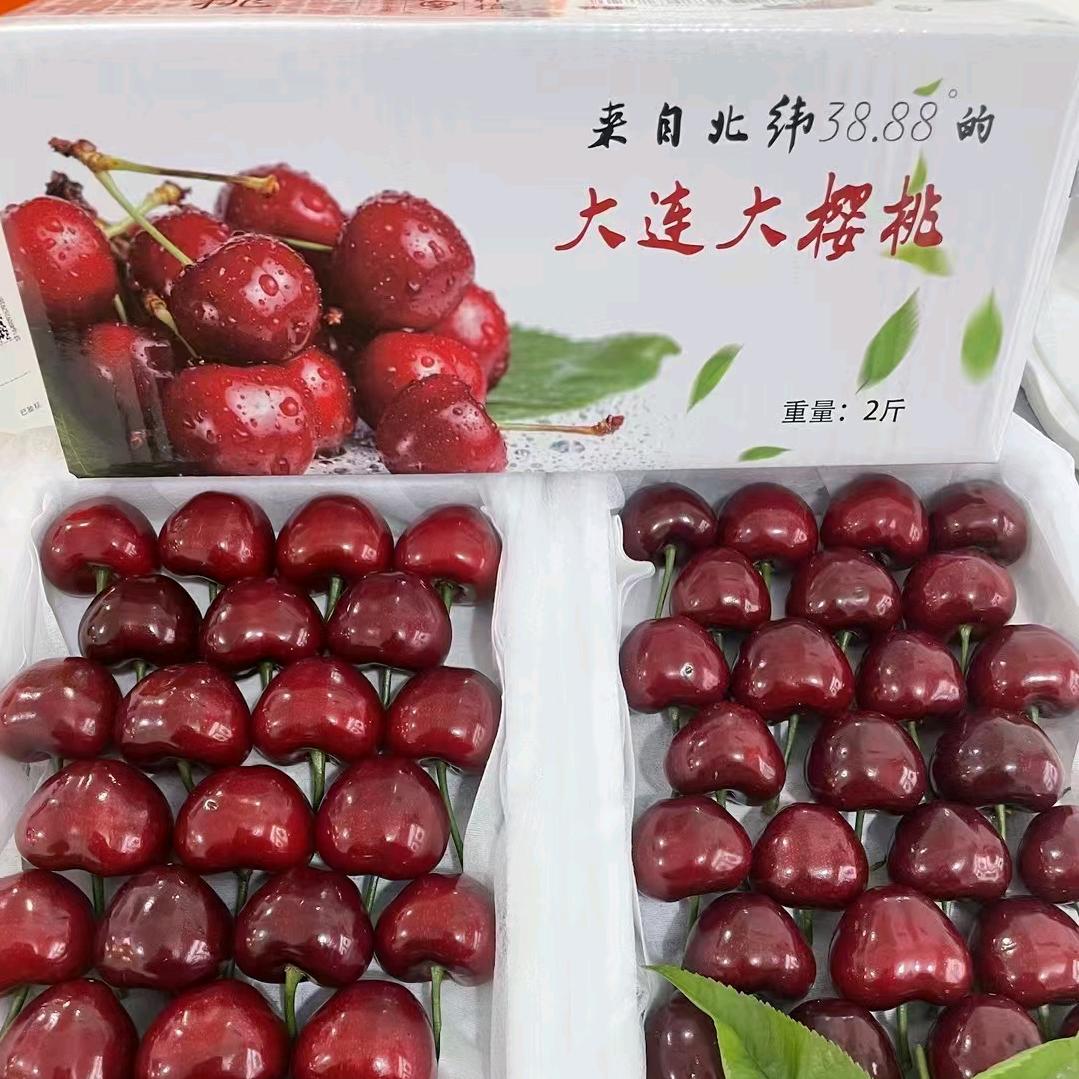 加樱🍒