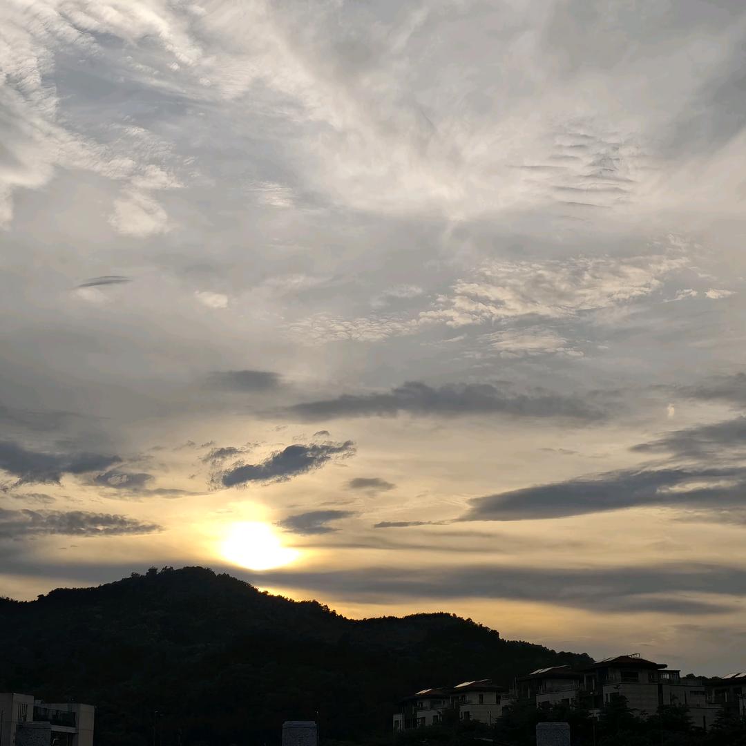 美团小q
