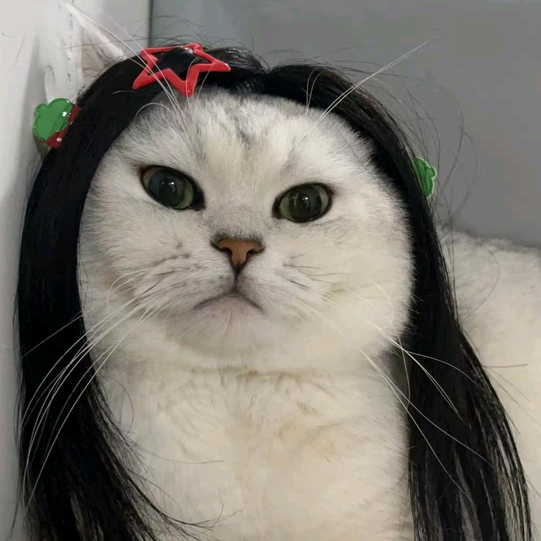 咪宝不脏小屋