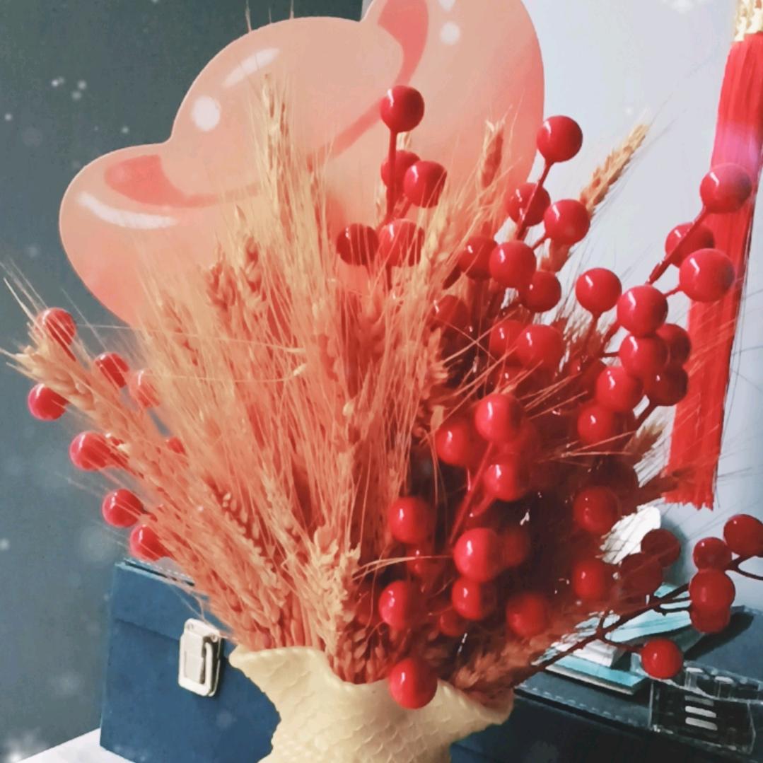 遗落芝士