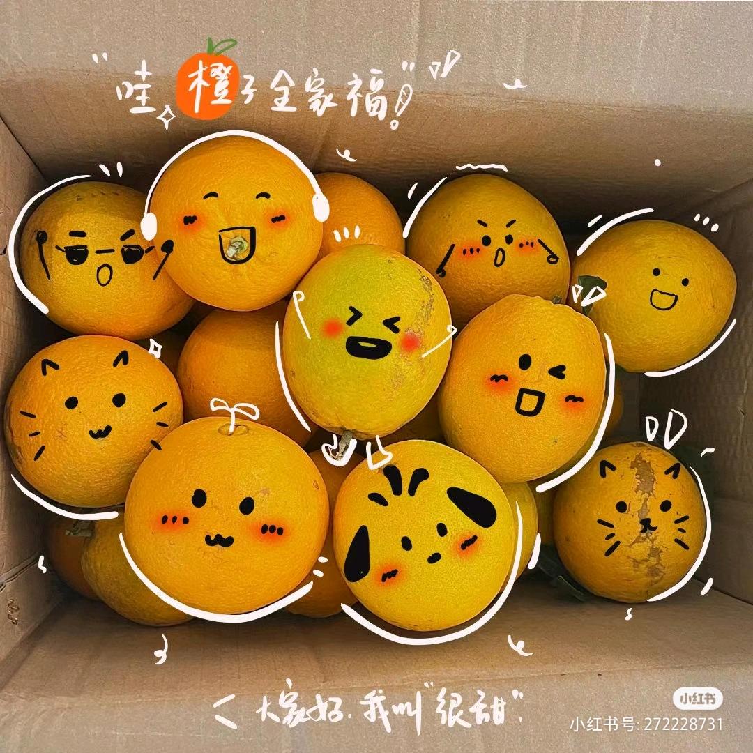 Aaaaa脐橙批发