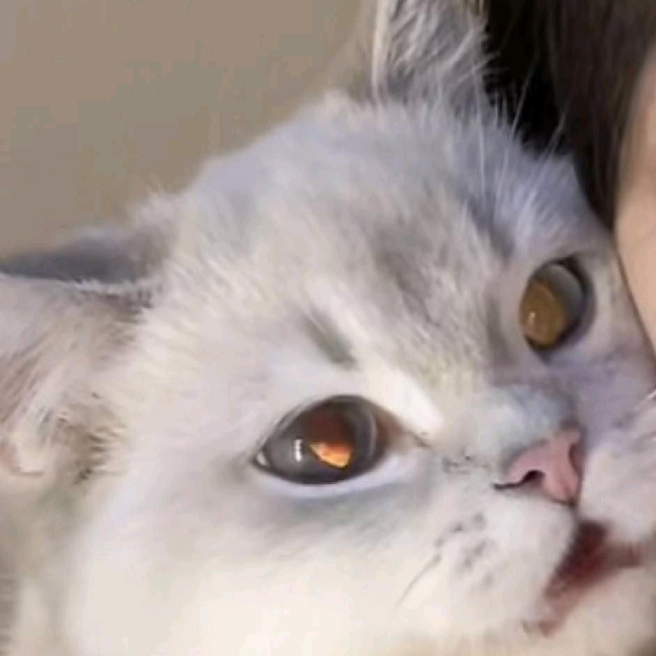 珀