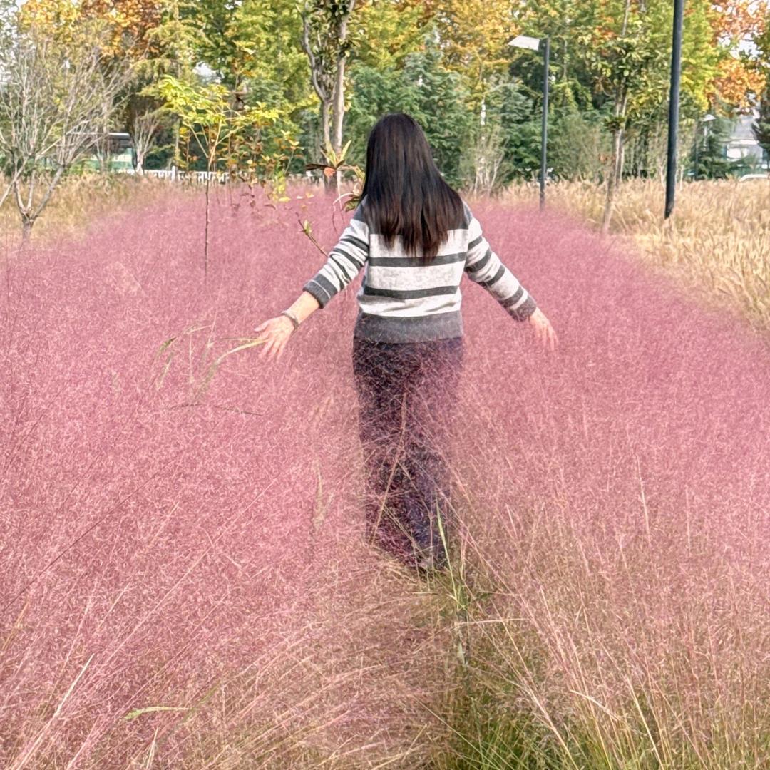 ᥫᩣ༚°⃨🕊️꯭໊ ヅ静谧时光ヅ