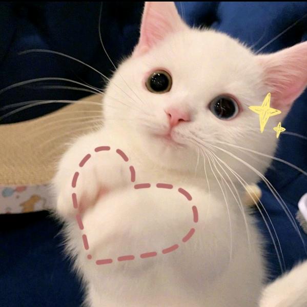 风度🌹翩翩🌸🌸