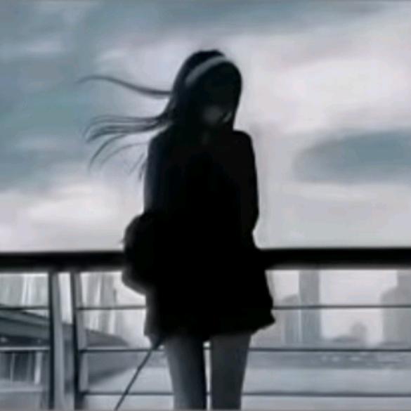 静宝