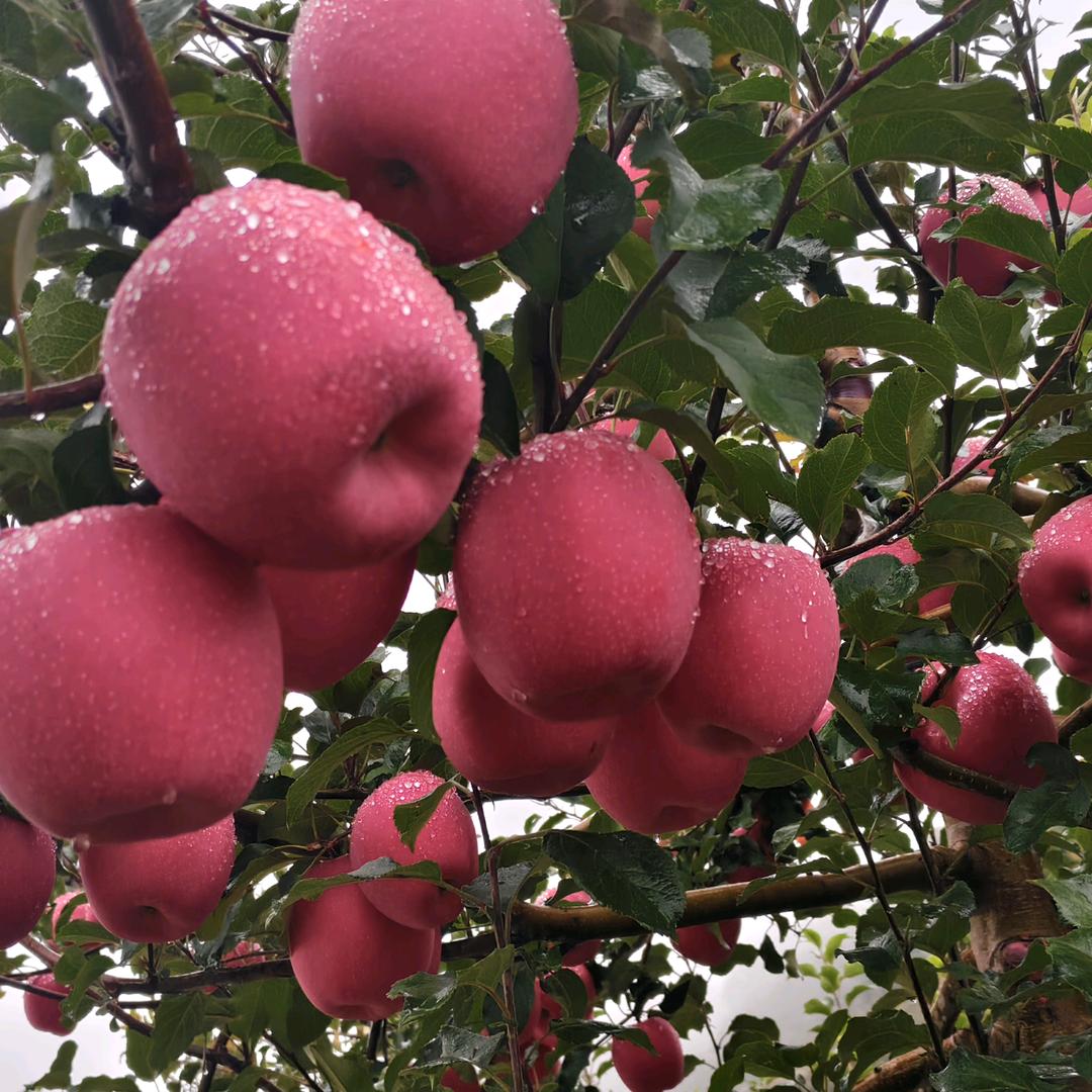 。忍让不是儒弱