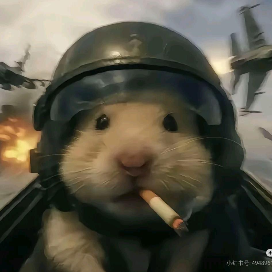 鲨鱼不吃葱