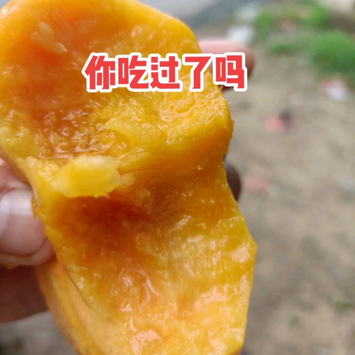 批发有机黄金蟠桃