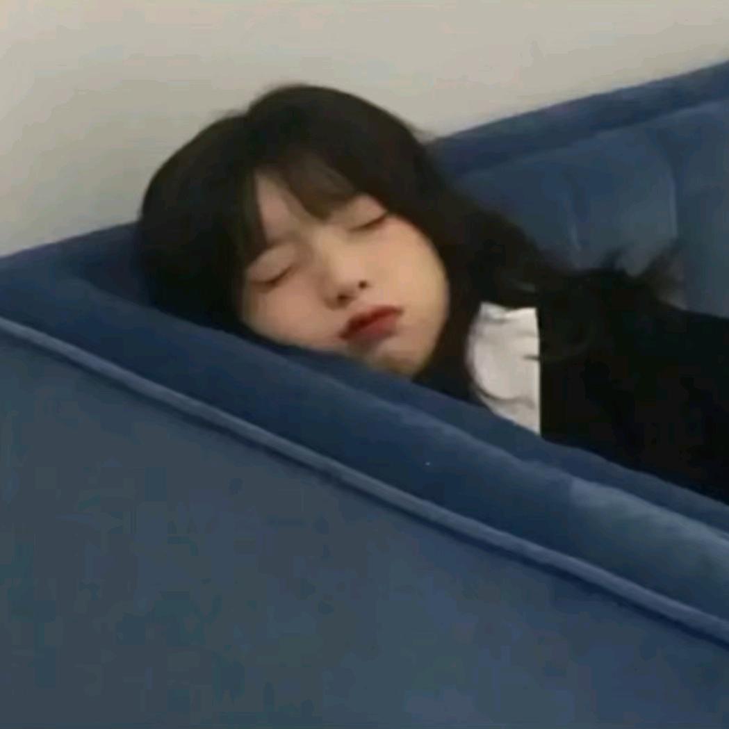 小鲨鱼