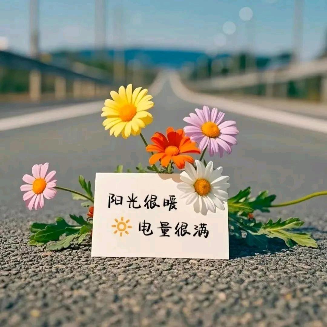 小叶子