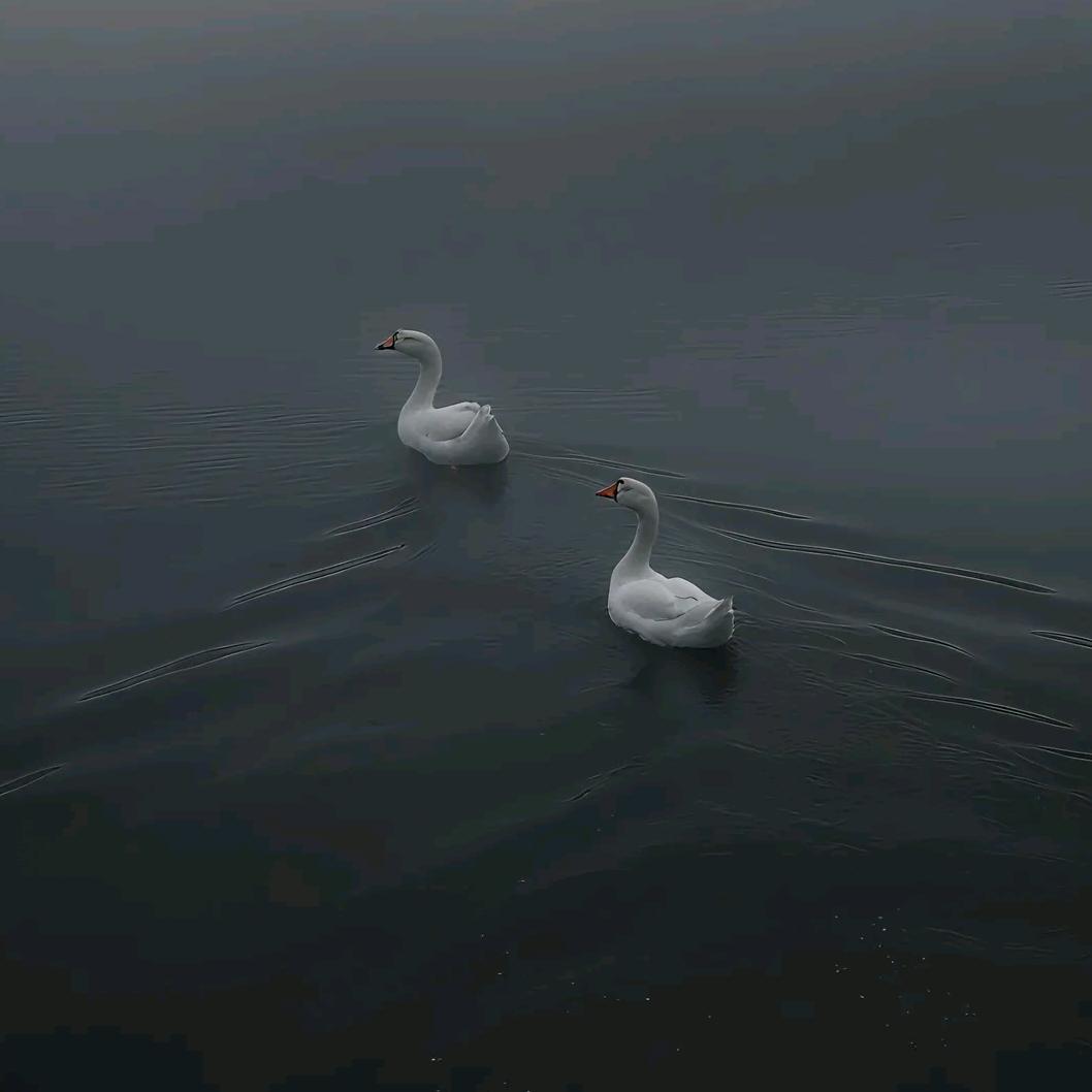 蒋大侠
