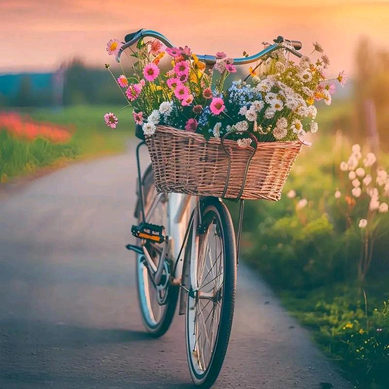 🎊🌹等我一夏🌹🎊