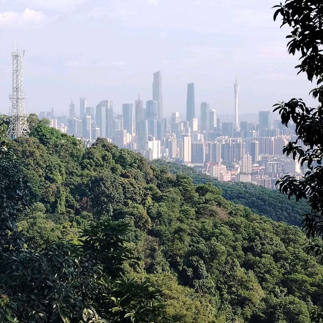 小V车主