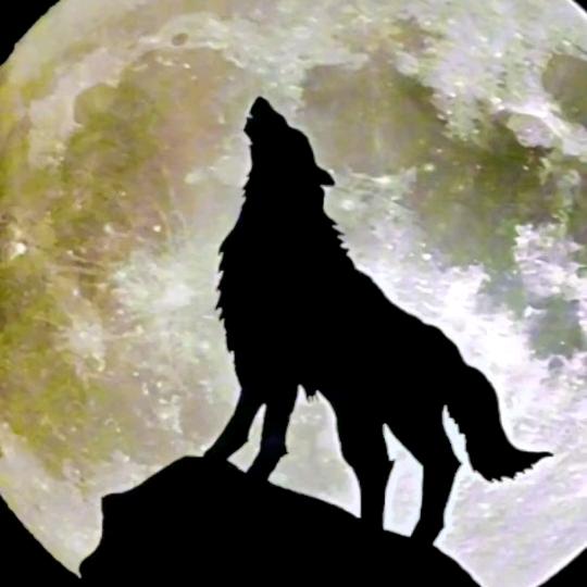 🧞‍♀️烟半🧜🏻‍♀️孤独🧞‍♂