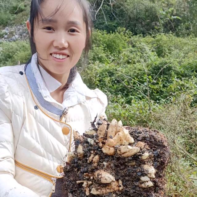 农村小阿朱