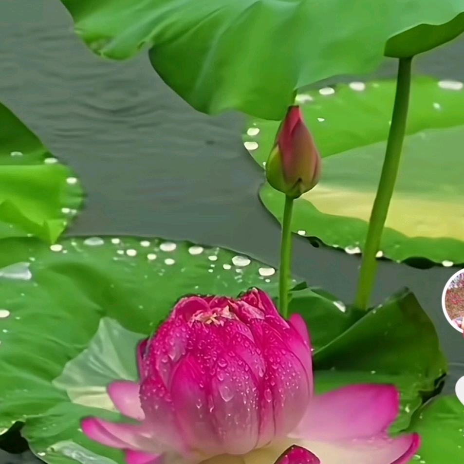 开心