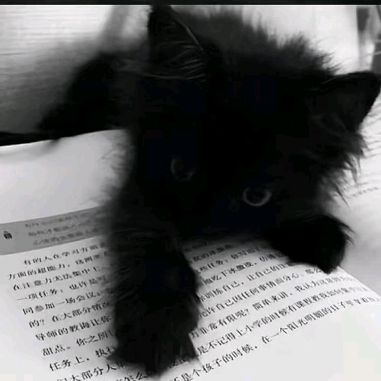 只要名字足够长就会有傻子跟着念