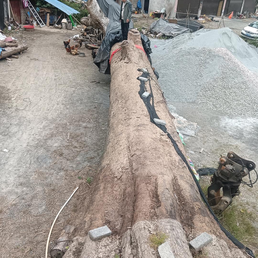 程龙宴席，专业红白喜事一条龙服务