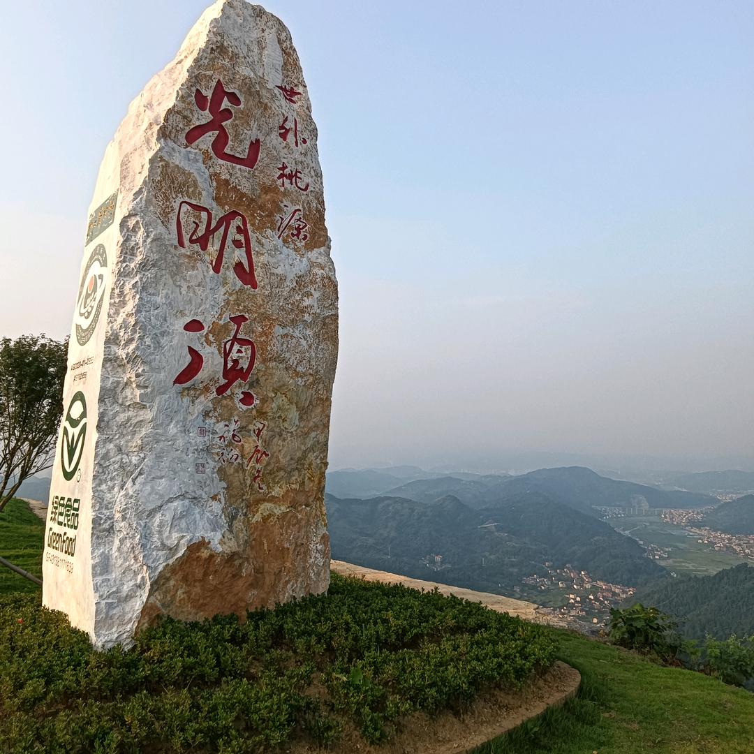 一帆启航