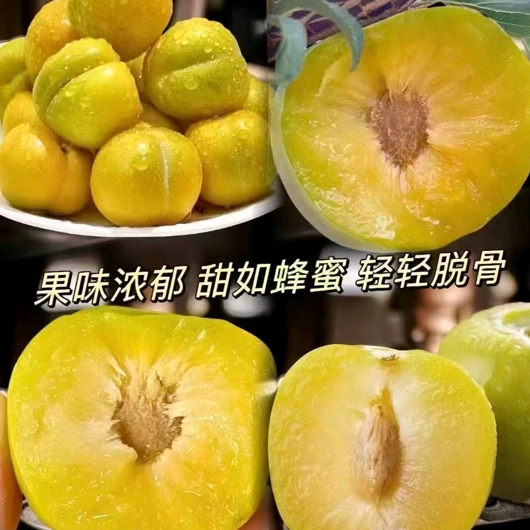 喜凯小波水果铺