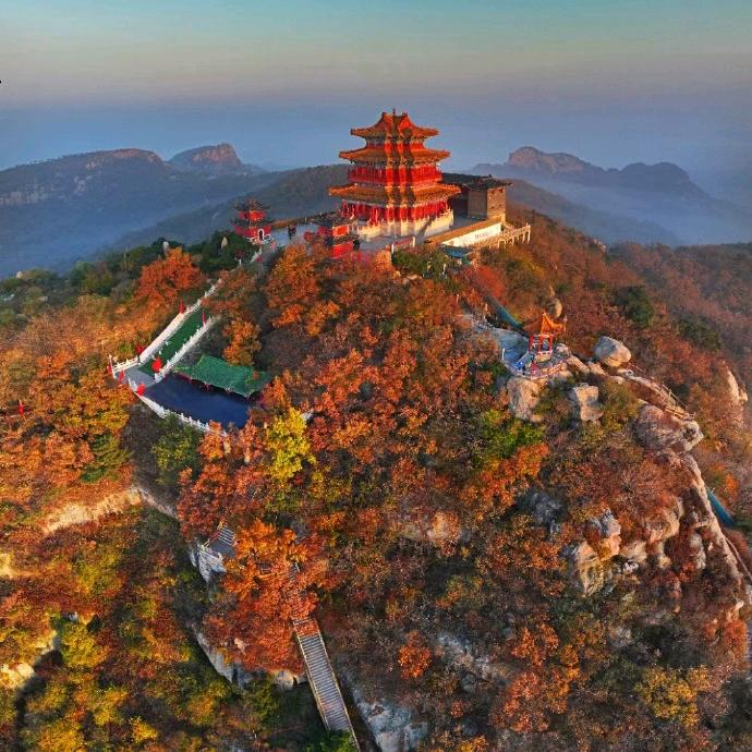 鱼头朝东