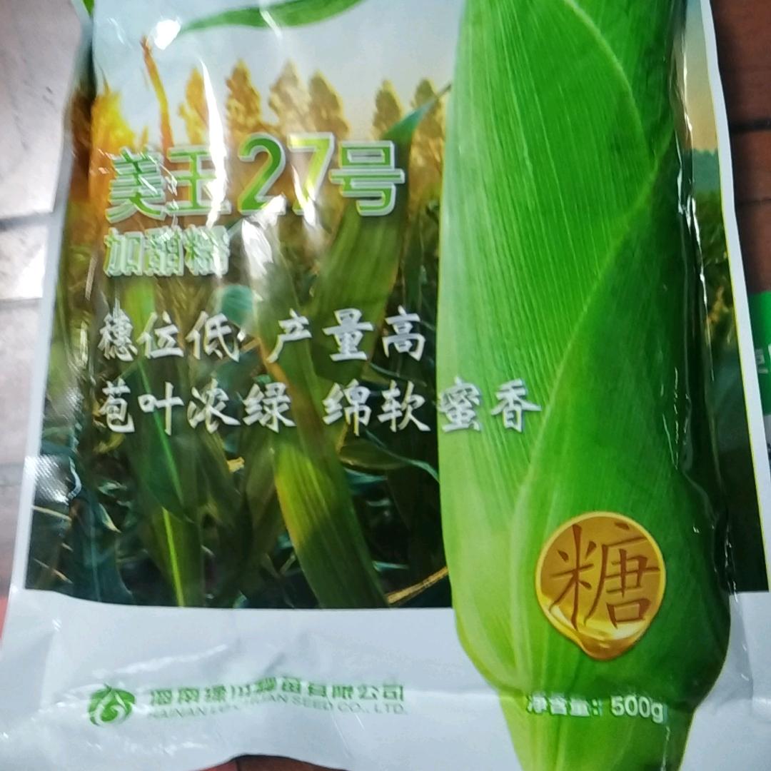 山西美玉27万糯188