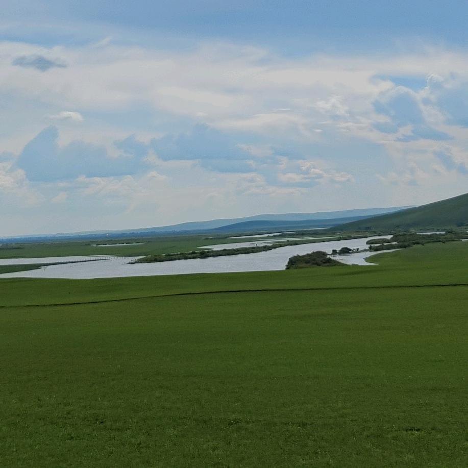 阿尔卑斯棒棒糖