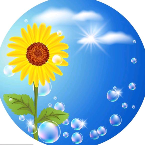 🌻向日葵
