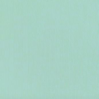 抹茶偷喝椰子水被我发现了