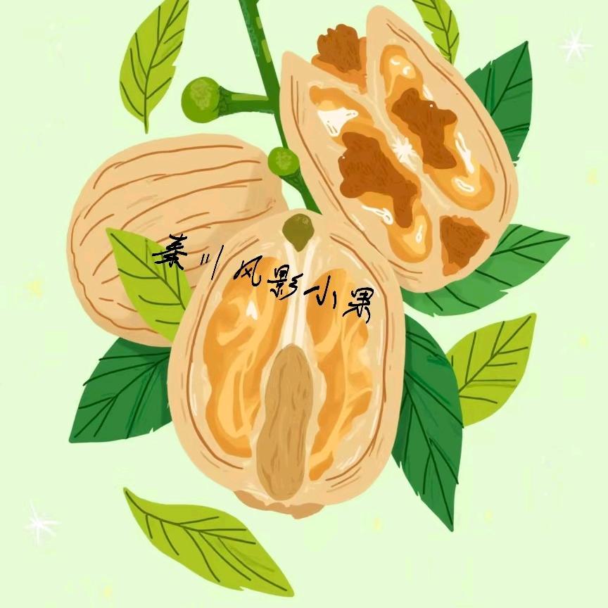 秦川风影小果