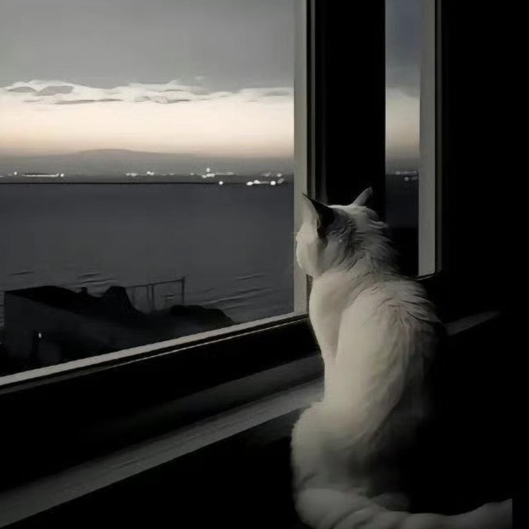 ∀弦
