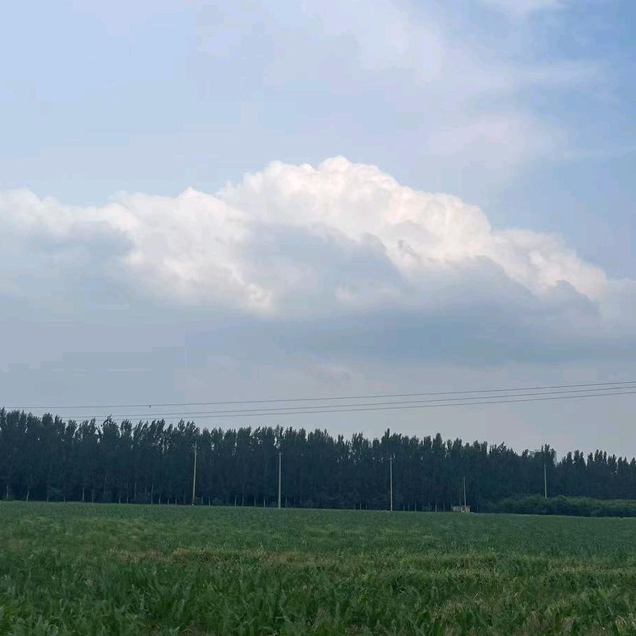 知足常乐🌹