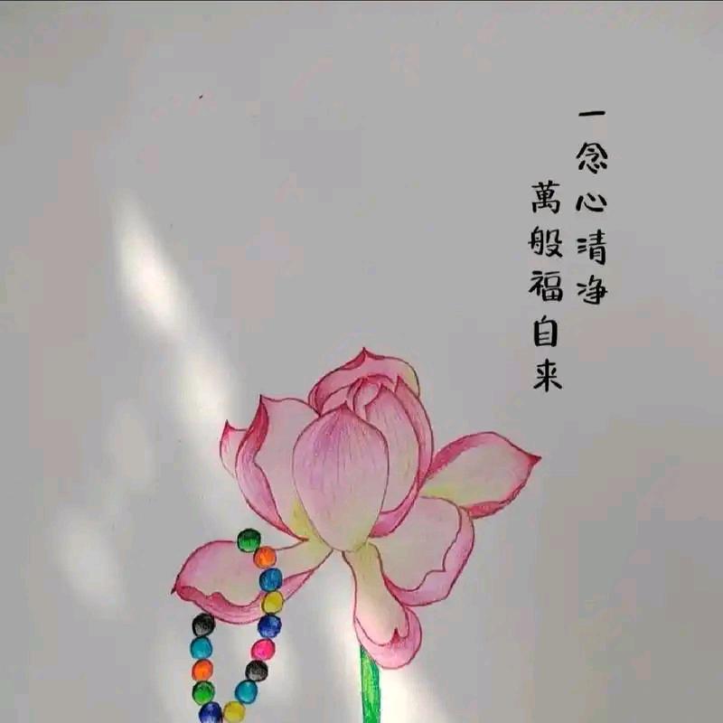 善缘❤️丽姐爱唱歌