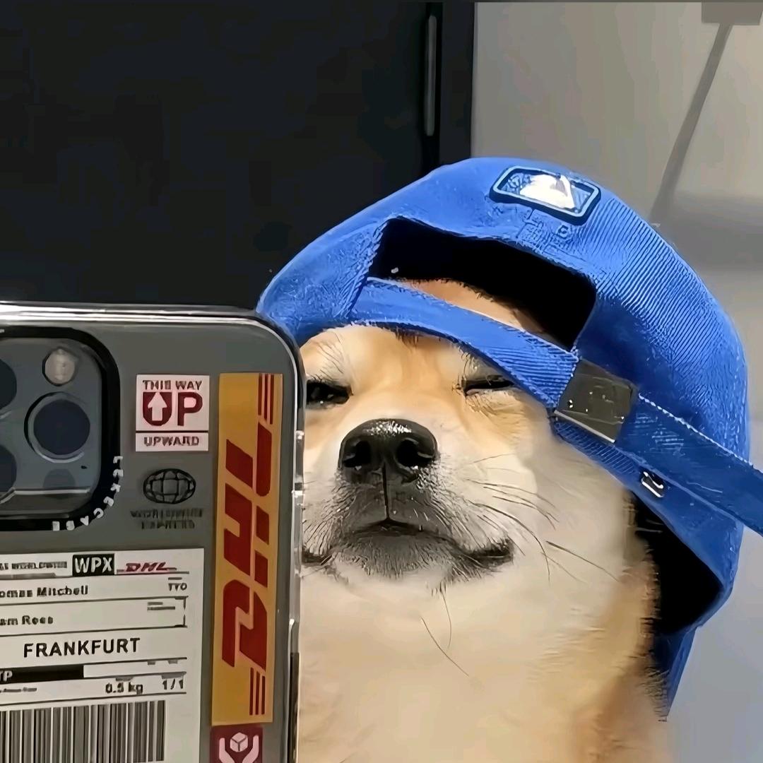 九小颜