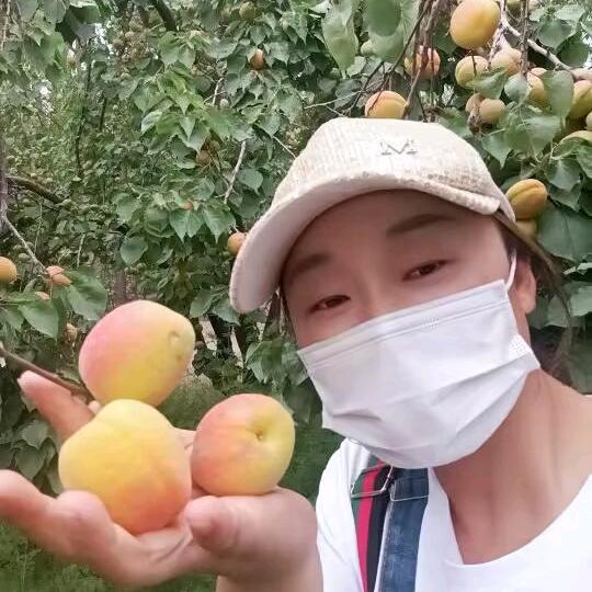 我的💔你永远不懂