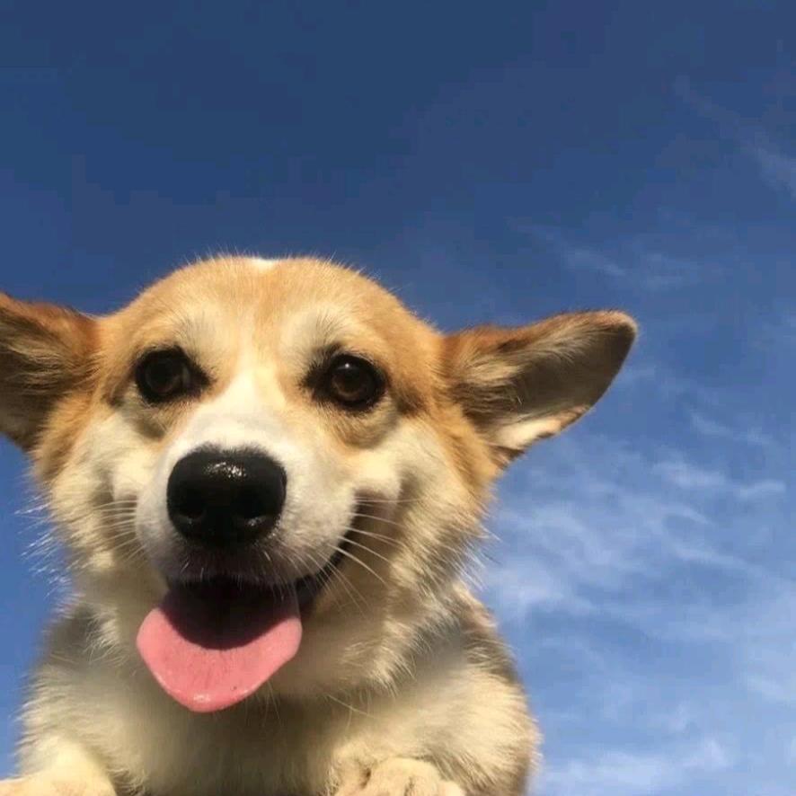 追求倒三角身材的CC