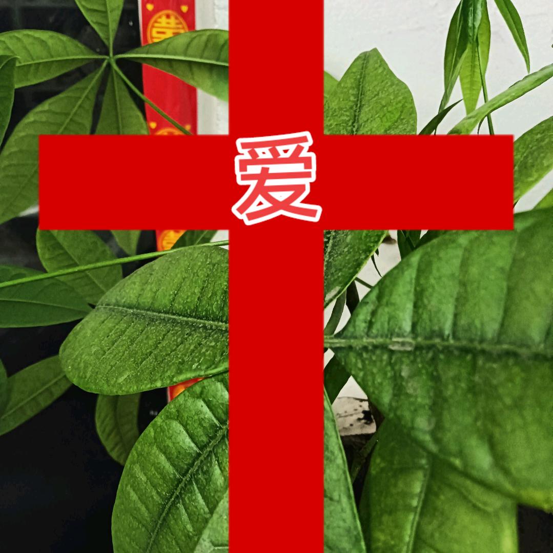 感恩