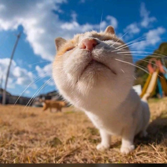 晚风              🦂