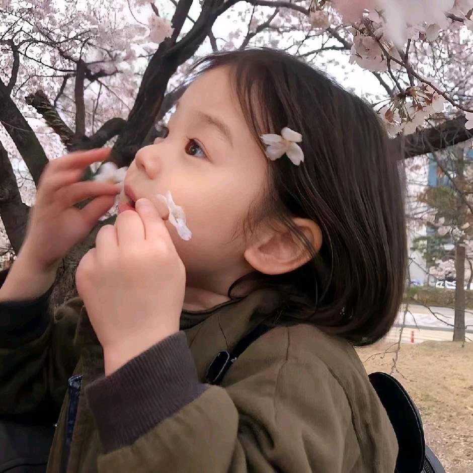 袋子酱