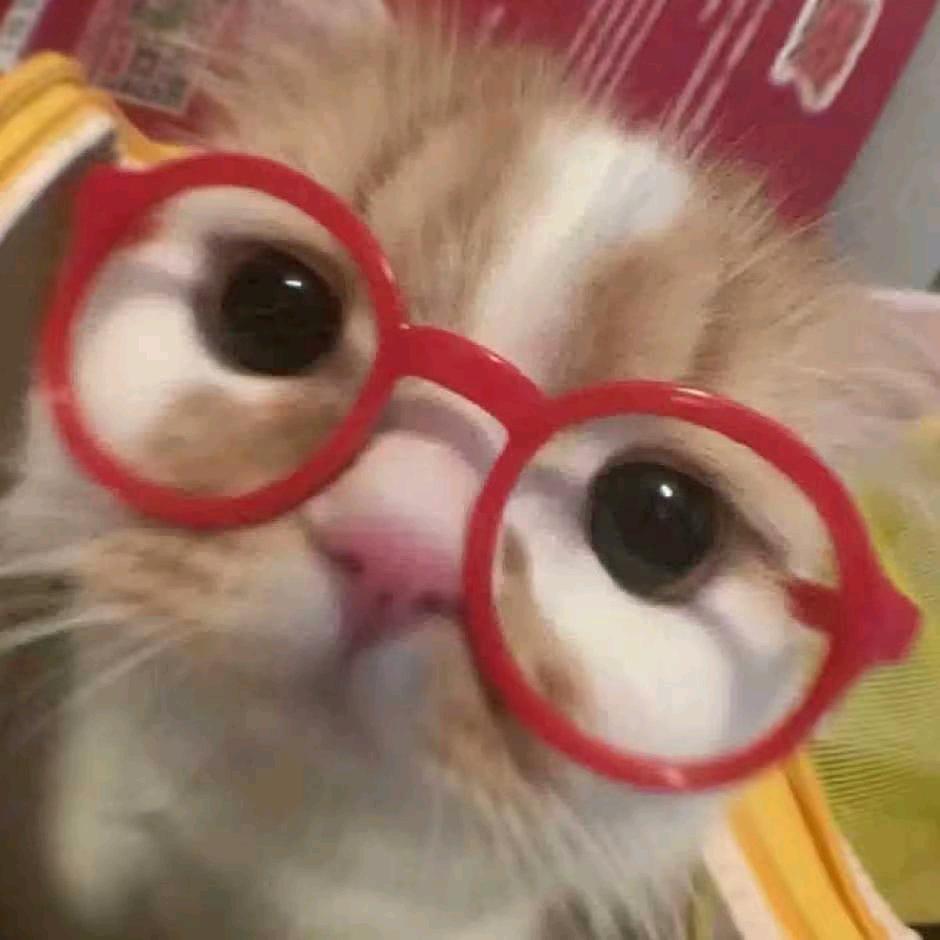 自卑感